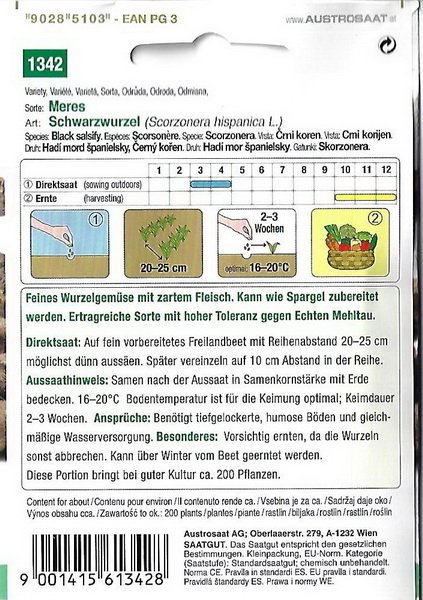 Schwarzwurzel Meres (Scorzonera hispanica)