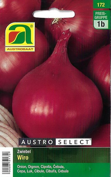 Zwiebel, Sommerzwiebel Wiro