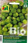 Sprossenkohl, Rosenkohl Groninger - Bio