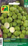 Sprossenkohl Dolores F1
