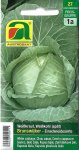 Weißkraut, Weißkohl Brunswijker