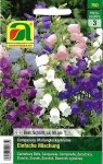 Marienglockenblume Einfache Mischung (Campanula medium)