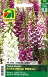 Fingerhut Gloxinienblütige Mischung (Digitalis purpurea)