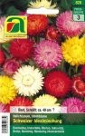 Strohblume Schweizer Idealmischung (Helichrysum bracteatum)