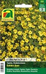 Studentenblume Golden Gem (Tagetes tenuifolia)