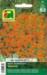 Studentenblume Tangerine (Tagetes tenuifolia)